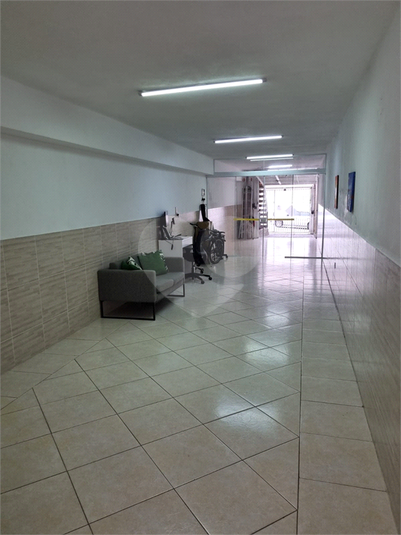 Foto REO1115699