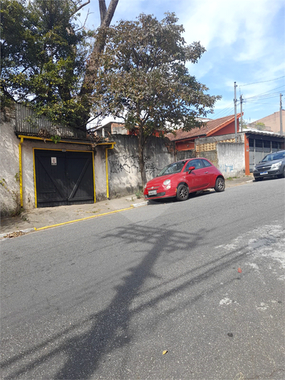 Foto REO1115708