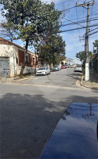 Foto REO1115708