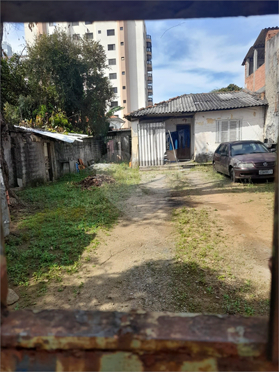 Foto REO1115708