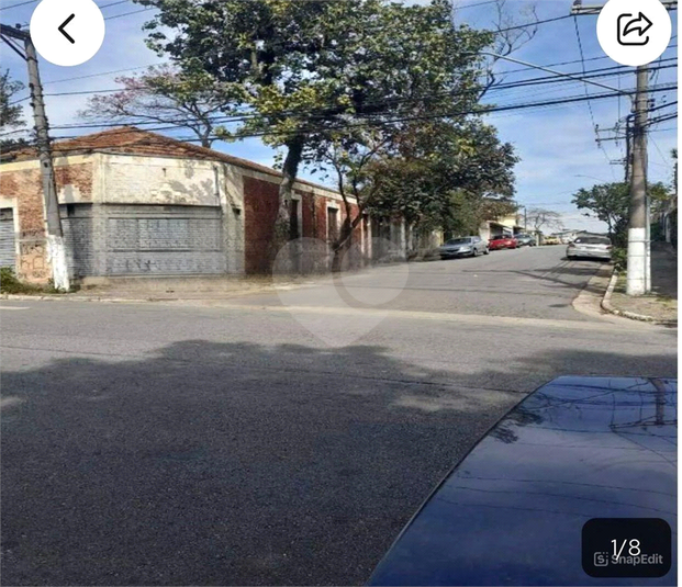 Foto REO1115708