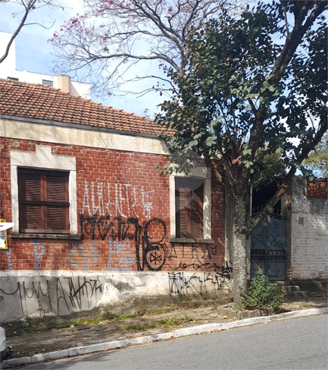 Foto REO1115708
