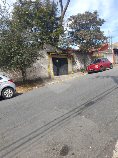 Foto REO1115708