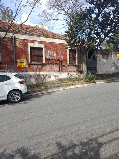 Foto REO1115708