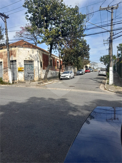 Foto REO1115708