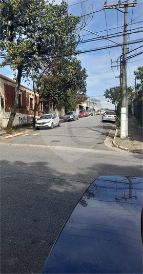 Foto REO1115708