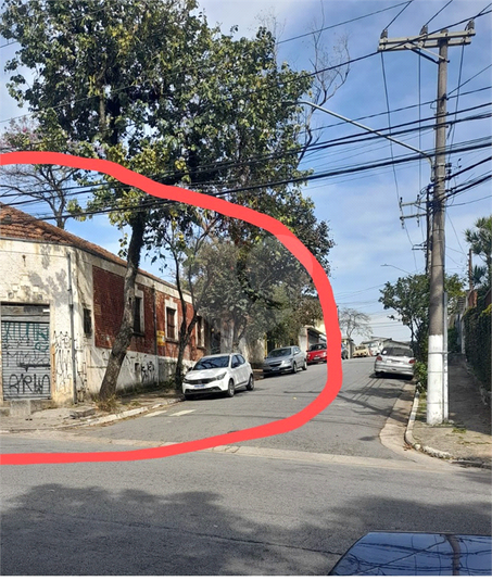 Foto REO1115708