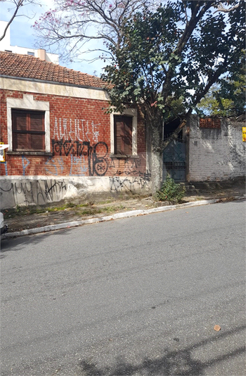 Foto REO1115708
