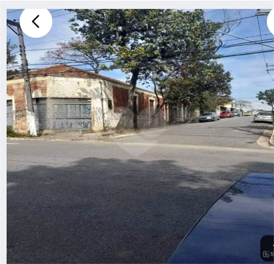 Foto REO1115708