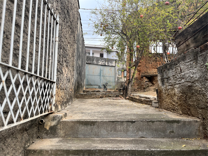 Foto REO1115710