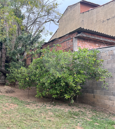 Foto REO1115710