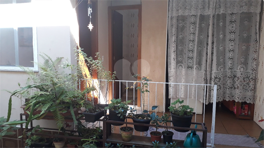 Foto REO1115718