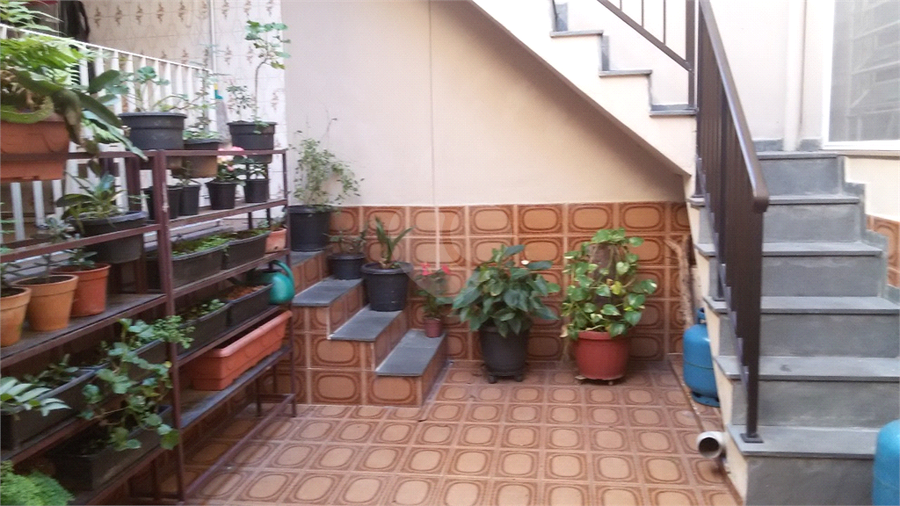 Foto REO1115718