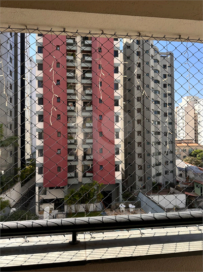 Foto REO1115727