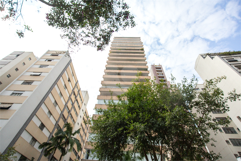 Foto REO1115729