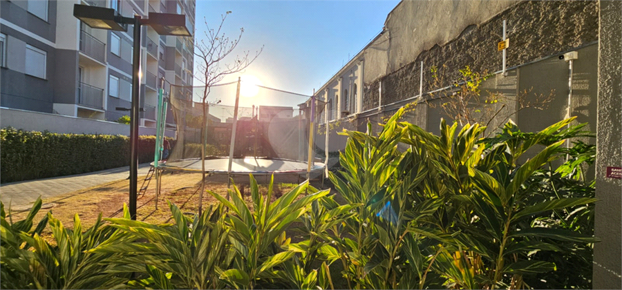 Foto REO1115738