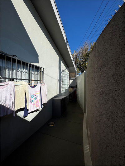 Foto REO1115741