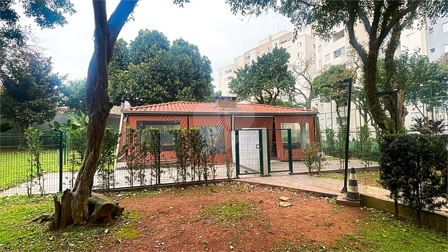 Foto REO1115759
