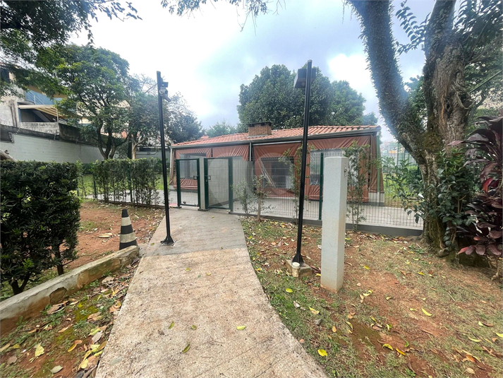 Foto REO1115759