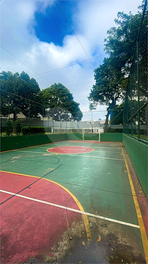 Foto REO1115759
