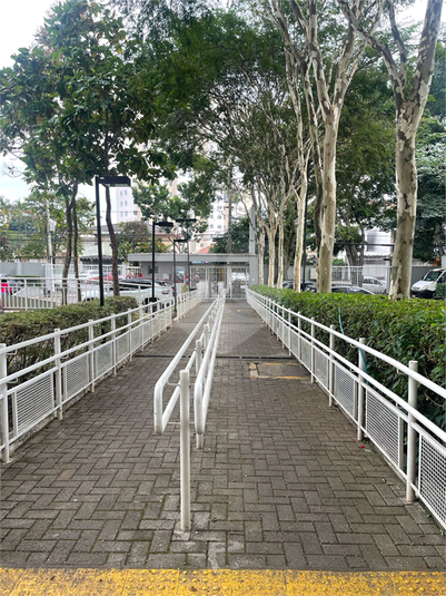 Foto REO1115759