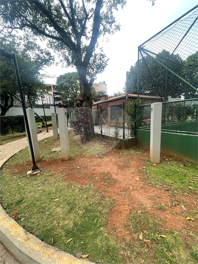 Foto REO1115759