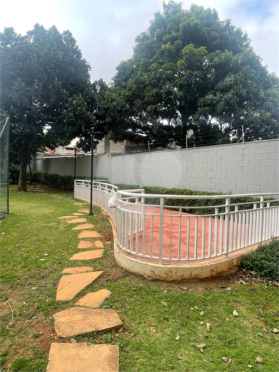 Foto REO1115759