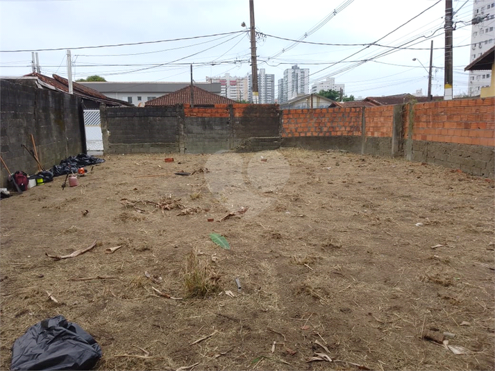 Foto REO1115766
