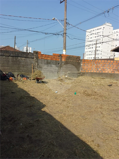 Foto REO1115766