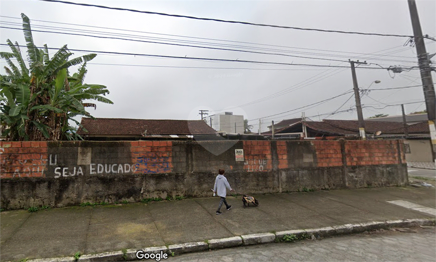 Foto REO1115766