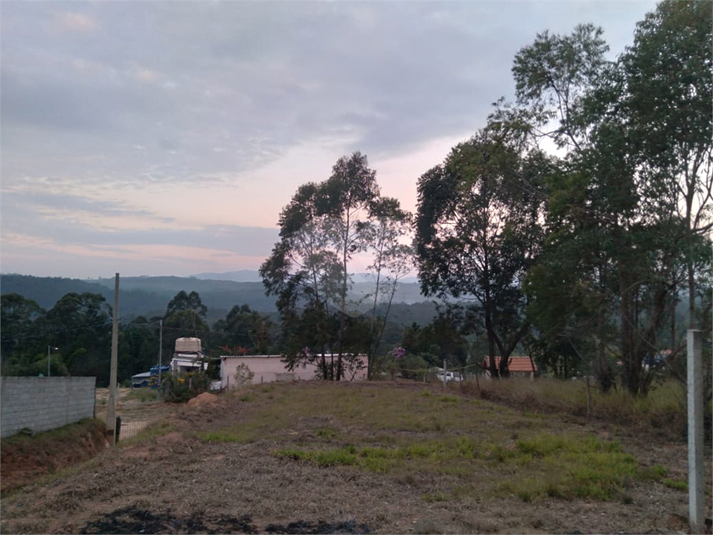 Foto REO1115779