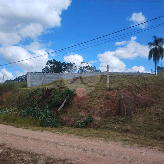 Foto REO1115779
