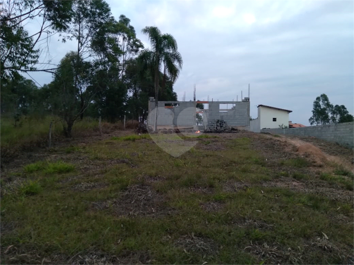 Foto REO1115779