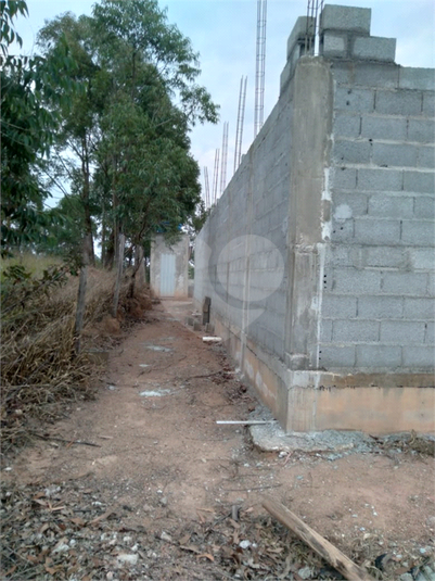 Foto REO1115779