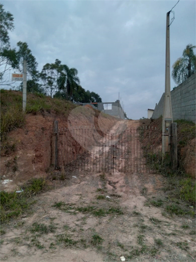 Foto REO1115779