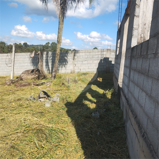 Foto REO1115779
