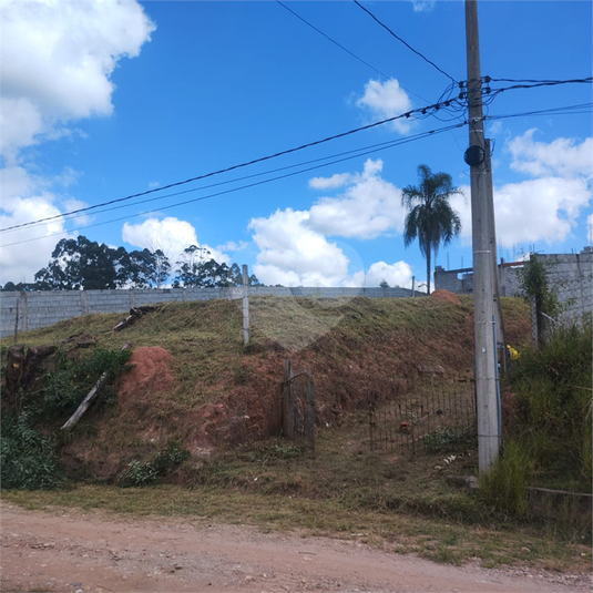 Foto REO1115779
