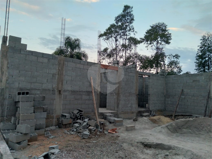 Foto REO1115779