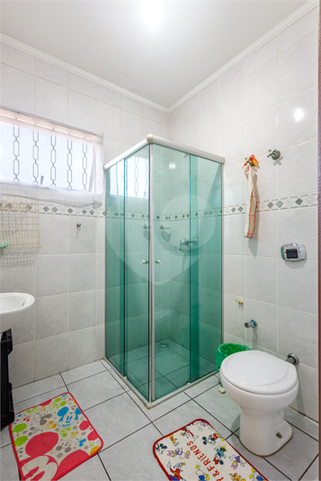 Foto REO1115782