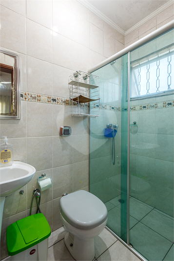 Foto REO1115782