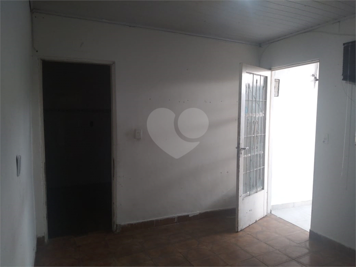 Foto REO1115789