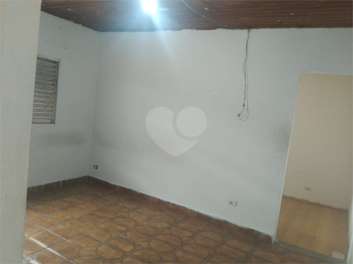 Foto REO1115789