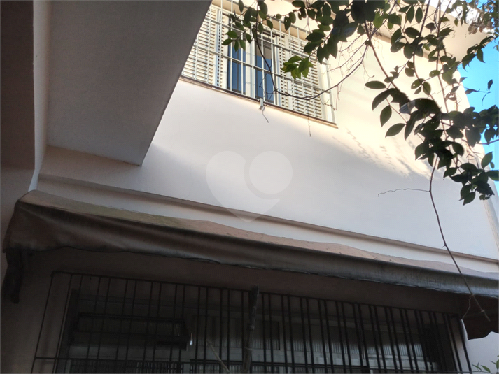 Foto REO1115794