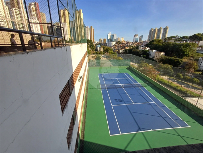 Foto REO1115824