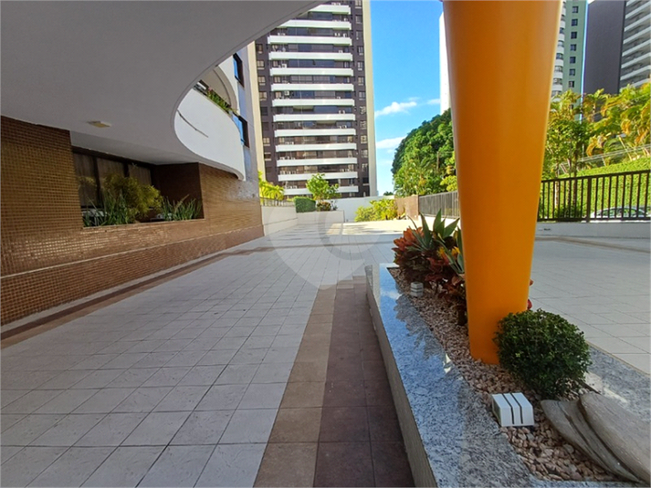 Foto REO1115824