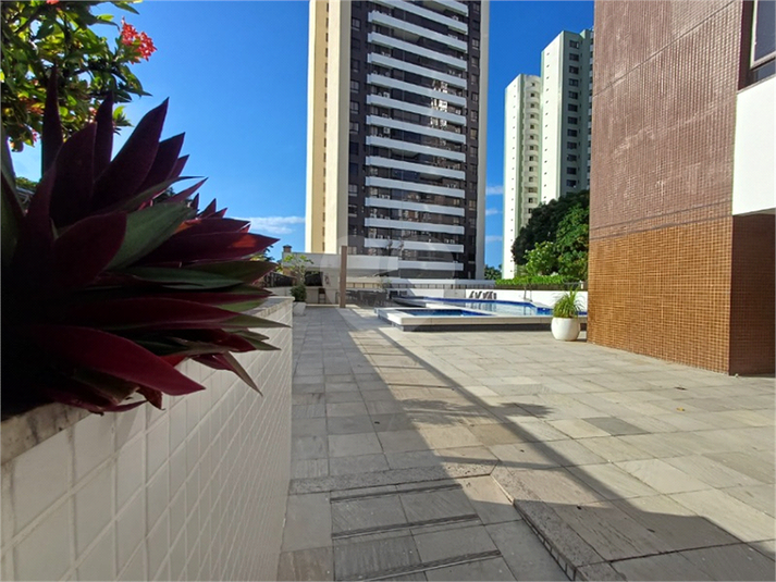 Foto REO1115824