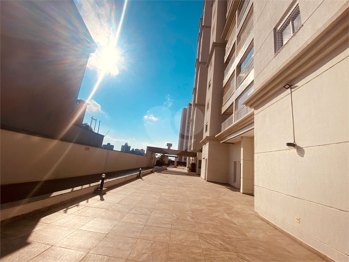 Foto REO1115838