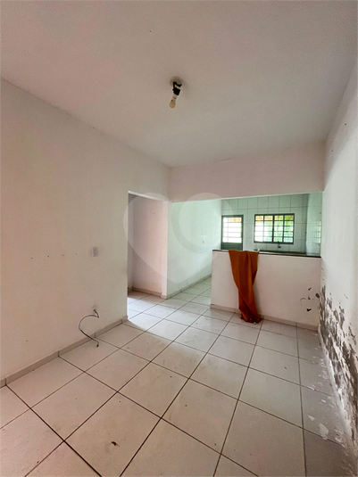Foto REO1115846