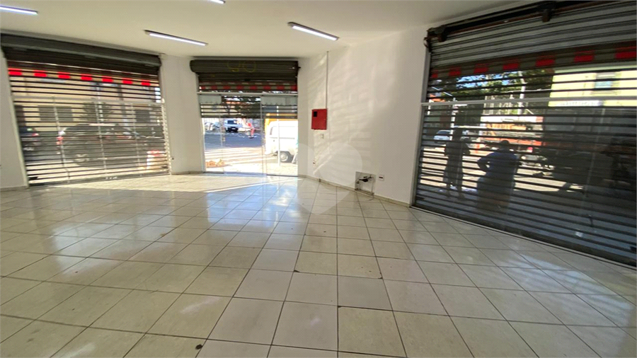 Foto REO1115850