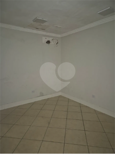 Foto REO1115851